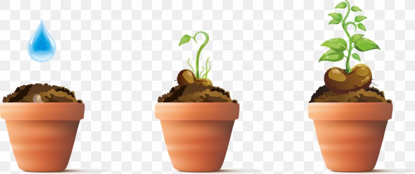 Advertising Sales Web Resource, PNG, 988x416px, Advertising, Flowerpot, Information, Investment, Plant Download Free