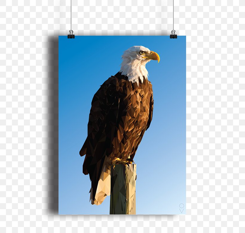 Bald Eagle Bird Hawk Low Poly, PNG, 600x780px, Bald Eagle, Accipitriformes, Advertising, Animal, Art Download Free