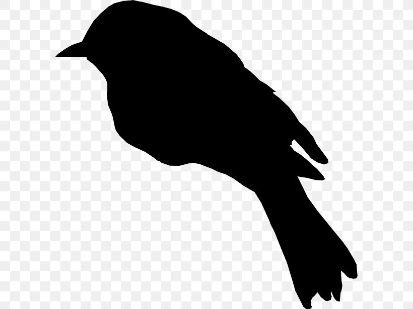 Beak Clip Art Fauna Silhouette H&M, PNG, 600x615px, Beak, Bird, Blackbird, Crow, Crowlike Bird Download Free