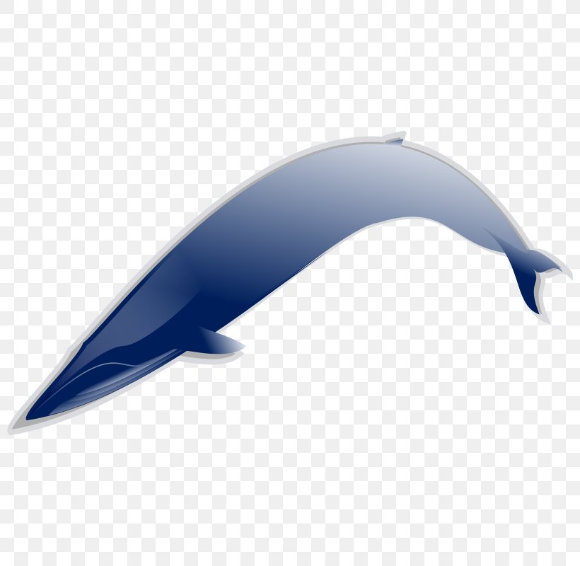 Download Clip Art, PNG, 800x800px, Scalable Vector Graphics, Art, Blue Whale, Dolphin, Fin Download Free