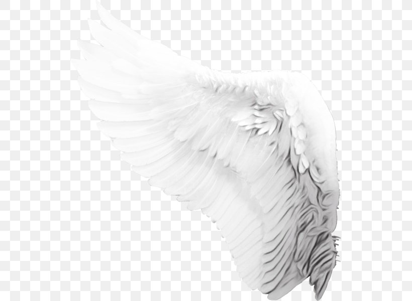 Angel Cartoon, PNG, 539x600px, Watercolor, Angel M, Feather, Headgear, Istx Euesg Clase50 Eo Download Free