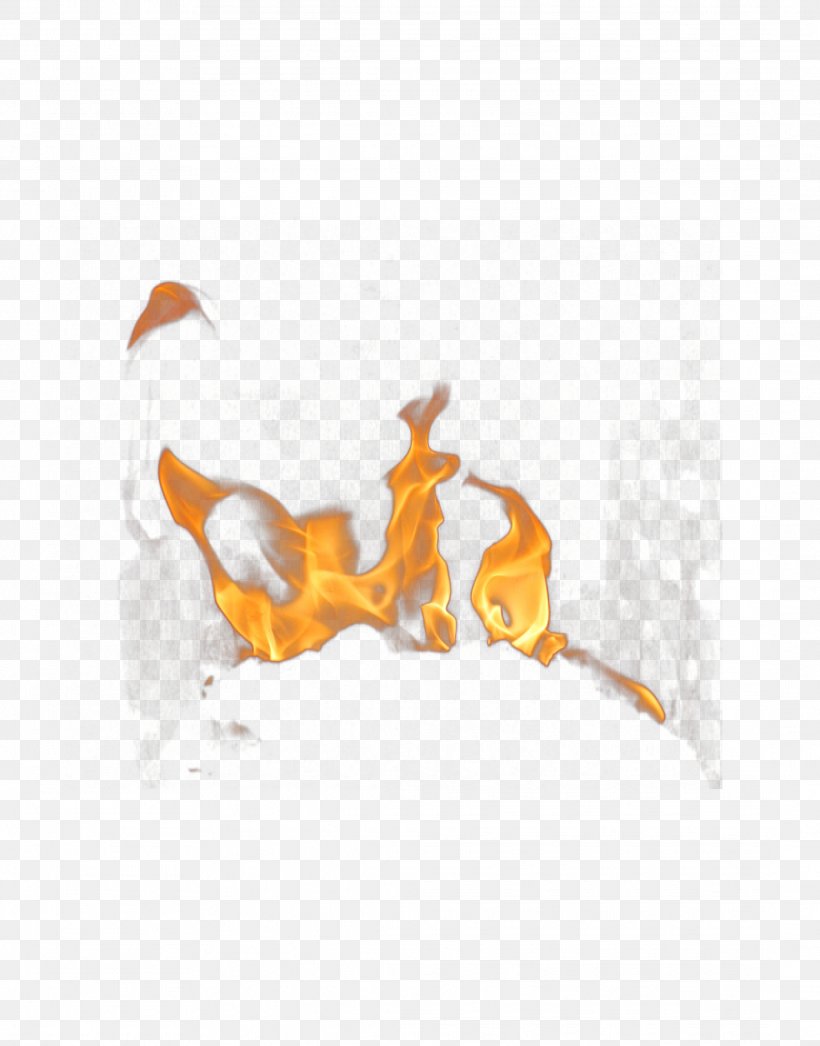 Fire Flame Clip Art, PNG, 2176x2776px, Fire, Colored Fire, Digital Image, Dots Per Inch, Flame Download Free