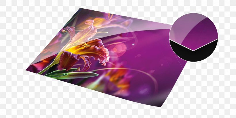 Photographic Paper Fujifilm Photography Color, PNG, 1920x960px, Paper, Bilderdruckpapier, Color, Digital Data, Digital Paper Download Free