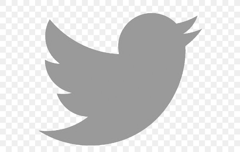 Social Media The Prince's Foundation Business YouTube United States, PNG, 572x520px, Social Media, Beak, Bird, Black And White, Business Download Free