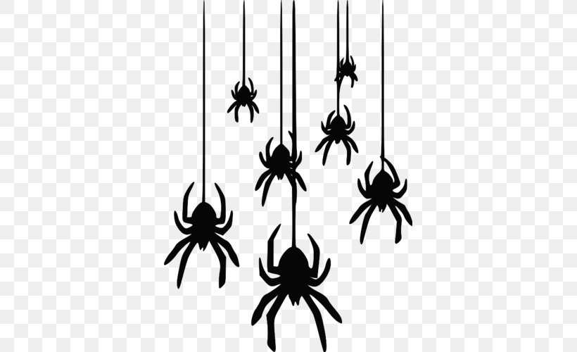 Spider Web, PNG, 500x500px, Spider, Black, Black And White, Black House Spider, Coloring Book Download Free