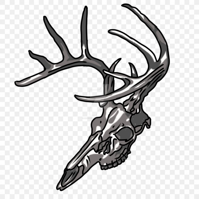 Antler Deer Art Bone Skull, PNG, 894x894px, Antler, Art, Artist, Black And White, Bone Download Free