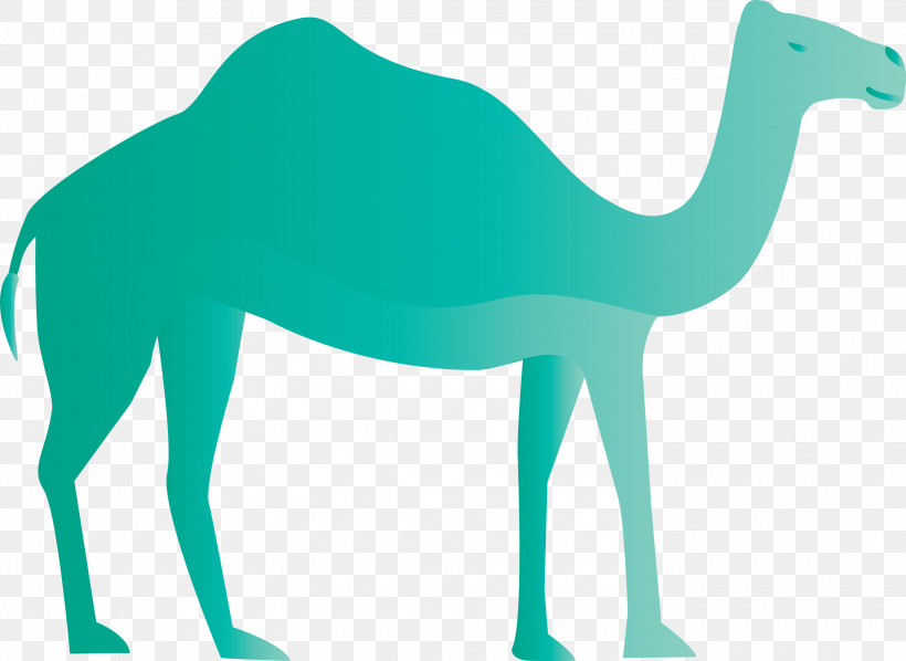 Arabic Culture, PNG, 3000x2190px, Arabic Culture, Biology, Camels, Dromedary, Green Download Free