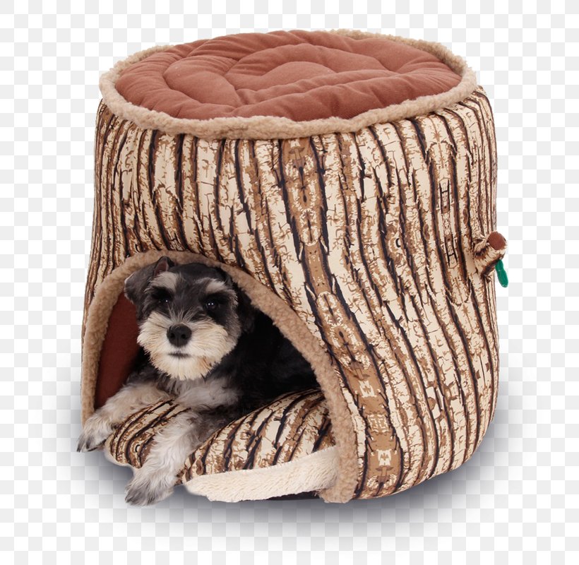 Dog Daycare Cat Kennel Pet, PNG, 800x800px, Dog, Bed, Building, Carnivoran, Cat Download Free