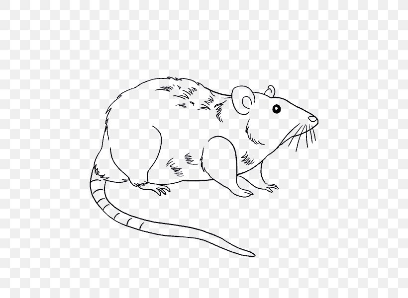 Drawing Laboratory Rat Mouse Brown Rat, PNG, 678x600px, Watercolor, Cartoon, Flower, Frame, Heart Download Free