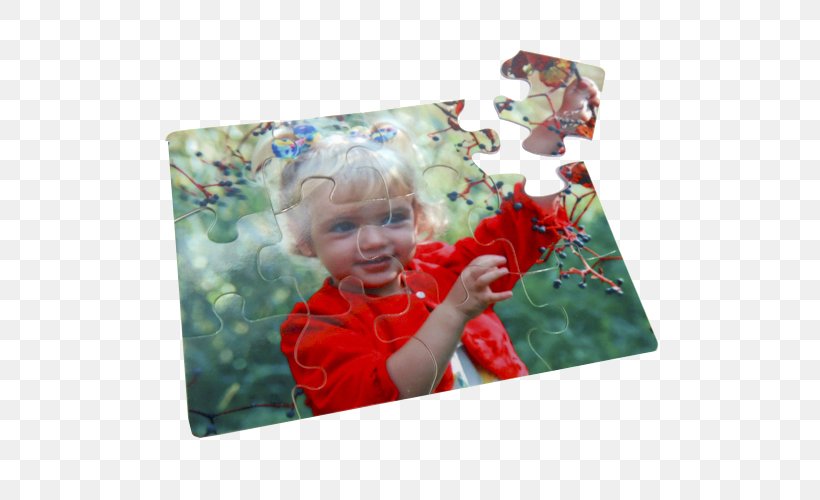 Jigsaw Puzzles Uniforma2 Puzzle Video Game Gift, PNG, 500x500px, Jigsaw Puzzles, Box, Cardboard, Case, Flower Download Free