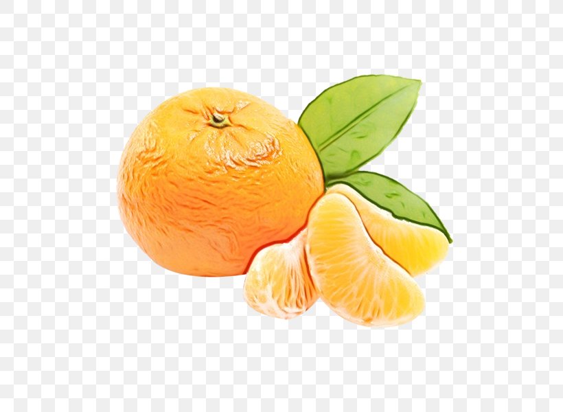 Lemon Juice, PNG, 600x600px, Orange Juice, Bitter Orange, Citric Acid, Citron, Citrus Download Free