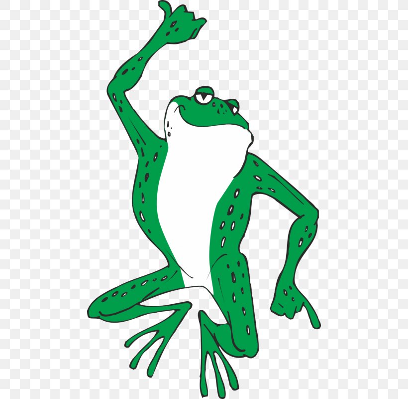 Frog, PNG, 800x800px, Toad, Amphibian, Animal Figure, Area, Cartoon Download Free