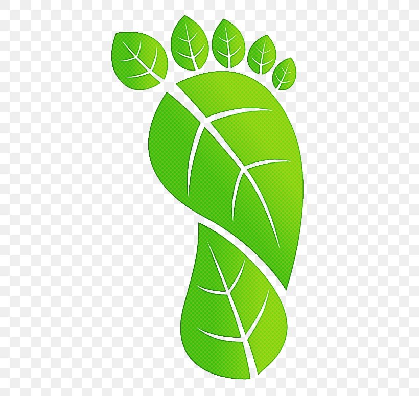 Green Leaf Plant Symbol Logo, PNG, 526x775px, Green, Leaf, Logo, Plant, Symbol Download Free