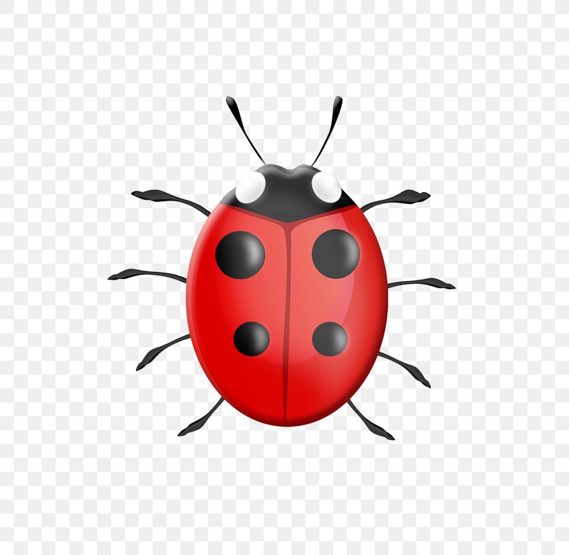 Ladybird Child Drawing Clip Art, PNG, 800x800px, Ladybird, Arthropod, Beetle, Cartoon, Child Download Free