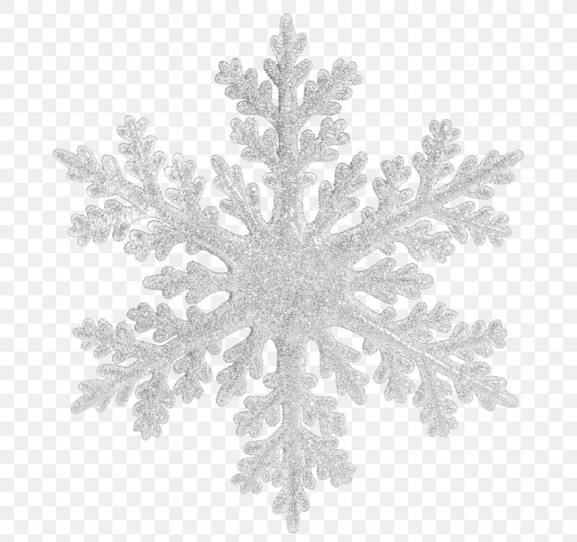 Snowflake Christmas Clip Art, PNG, 700x771px, Snowflake, Black And White, Branch, Christmas, Christmas Ornament Download Free