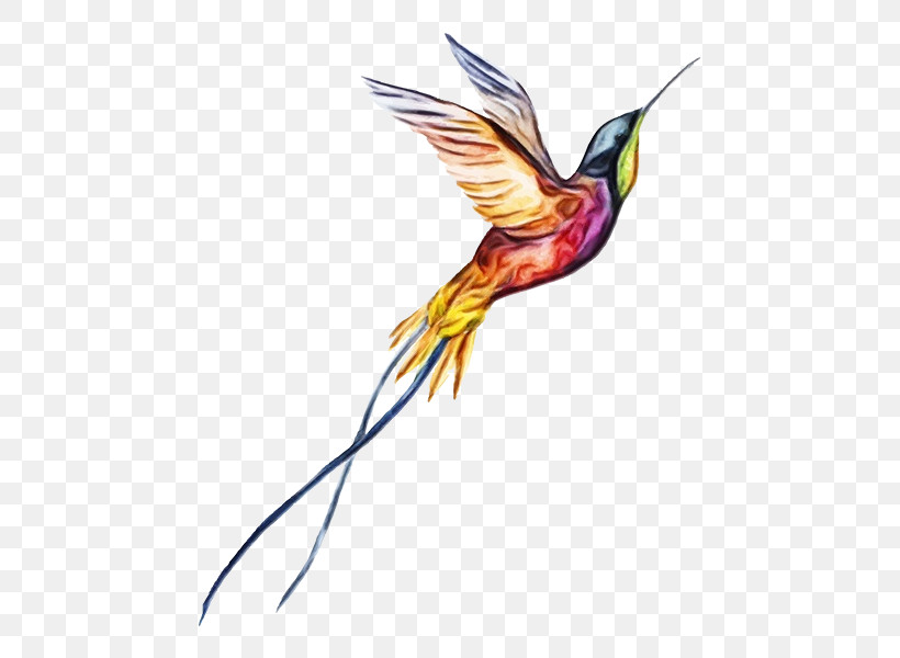 Tattoo Arley Sign временные татуировки Temporary Tattoo | Hummingbird Physical Fitness Supperb Temporary Tattoos, PNG, 600x600px, Watercolor, Birds, Flash, Organization, Paint Download Free