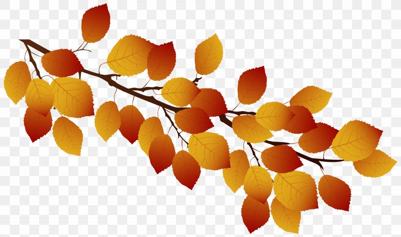 Vector Graphics Stock Illustration Stock Photography Autumn, PNG, 8000x4740px, Stock Photography, Autumn, Autumn Leaf Color, Branch, Depositphotos Download Free