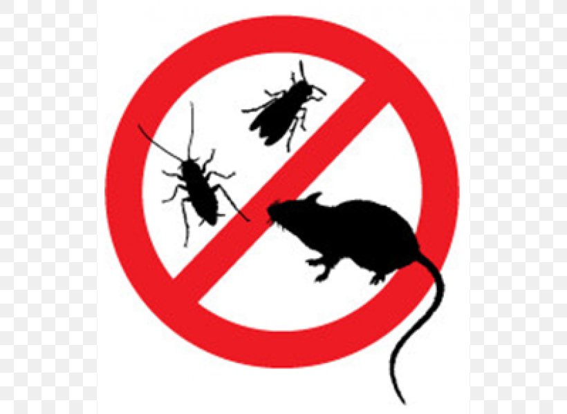 Cat Pest Control Vermin Integrated Pest Management Insect, PNG, 600x600px, Cat, Artwork, Biology, Carnivora, Carnivoran Download Free