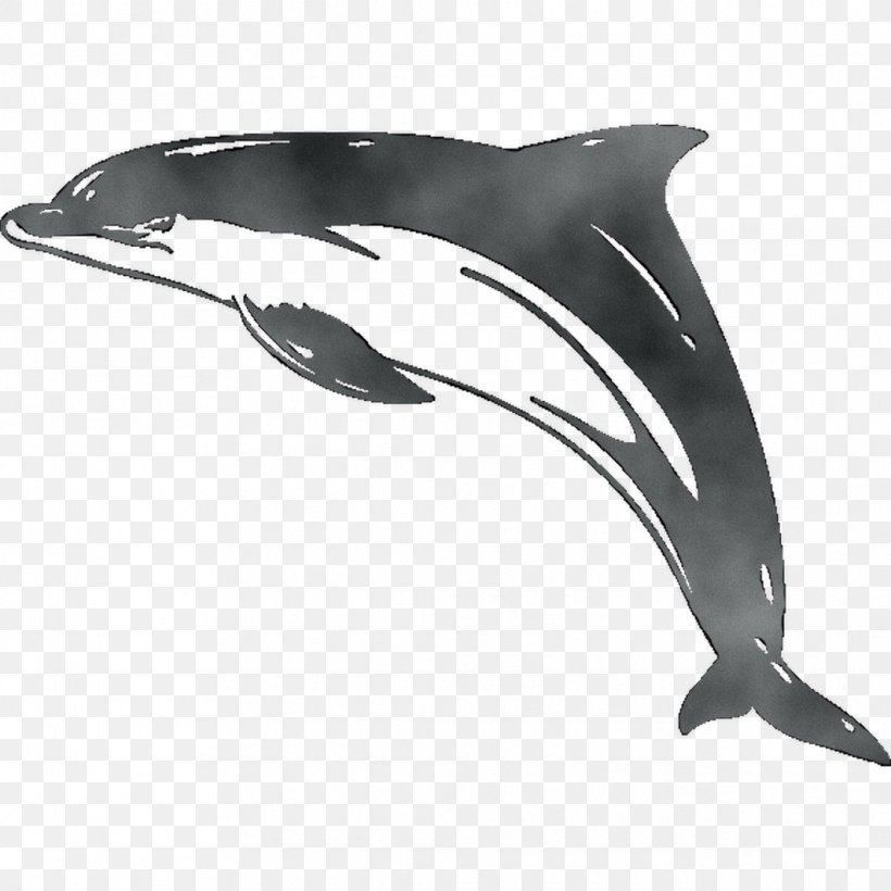 Common Bottlenose Dolphin Short-beaked Common Dolphin White-beaked Dolphin Tucuxi Rough-toothed Dolphin, PNG, 1062x1062px, Common Bottlenose Dolphin, Animal Figure, Bottlenose Dolphin, Cetacea, Common Dolphins Download Free