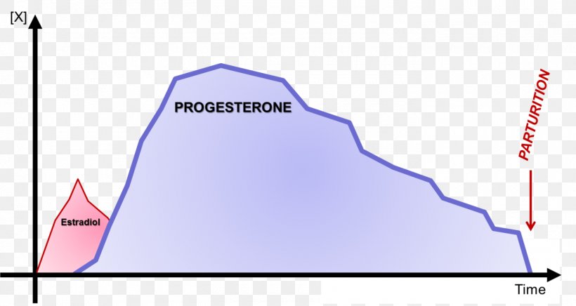 Estradiol Progesterone Fertility Estrogen Ovulation, PNG, 1400x746px, Estradiol, Area, Brand, Diagram, Endocrine System Download Free