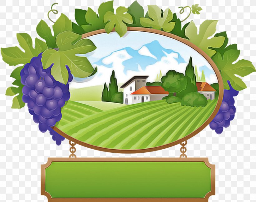 Grape Grapevine Family Leaf Plant Vitis, PNG, 950x750px, Grape, Grapevine Family, Leaf, Plant, Vitis Download Free