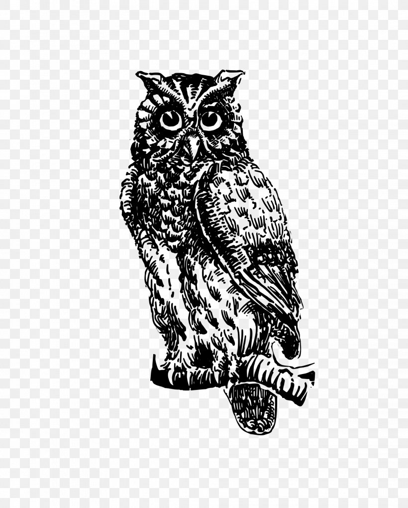 Owl The Picture-poetry Book Clip Art, PNG, 1928x2400px, Owl, Beak, Bird, Bird Of Prey, Black And White Download Free