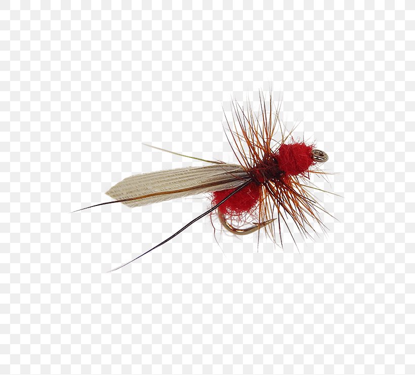 Artificial Fly Fly Fishing Holly Flies Ant, PNG, 555x741px, Artificial Fly, Ant, Beetle, Brand, Brand Ambassador Download Free