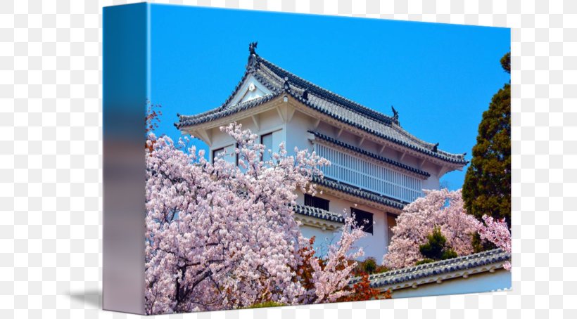 Cherry Blossom Facade Roof Historic Site Japan, PNG, 650x454px, Cherry Blossom, Architecture, Blossom, Building, Cherry Download Free