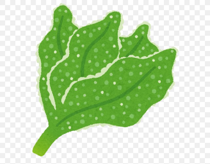 Common Iceplant Vegetable Pinitol Leaf, PNG, 612x643px, Vegetable, Budi Daya, Calorie, Drop, Grass Download Free