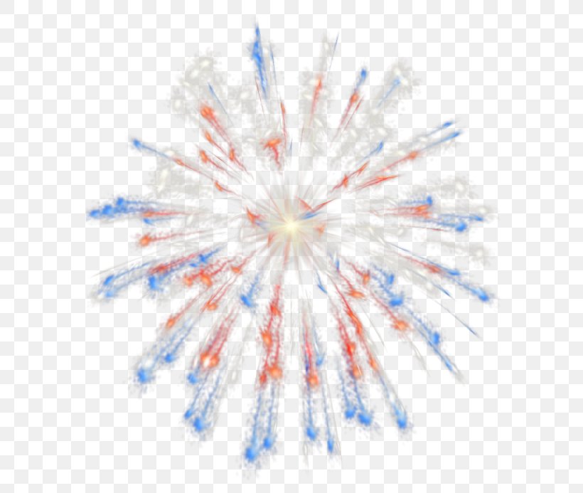 Fireworks Independence Day, PNG, 624x693px, Fireworks, Animation, Blue, Firecracker, Independence Day Download Free