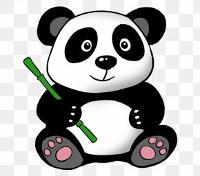 Panda Images Panda Transparent Png Free Download