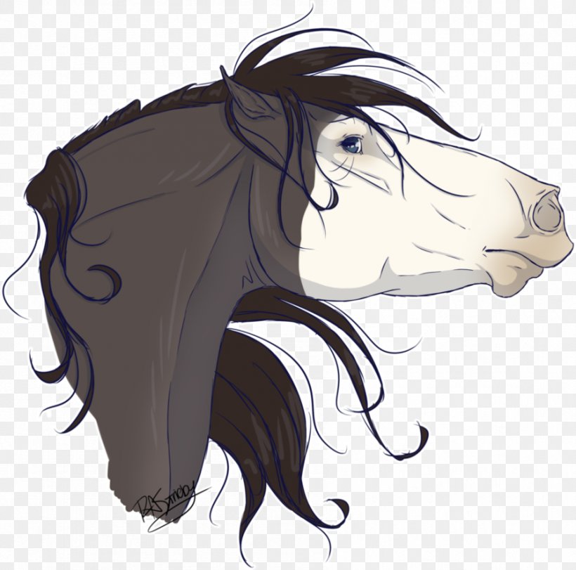 Mustang Cat Illustration Mammal Hair, PNG, 898x889px, Mustang, Art, Black Hair, Bridle, Carnivoran Download Free