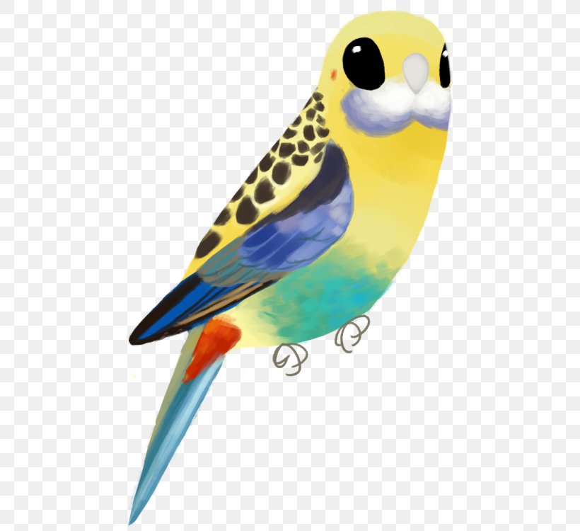 Parakeet Pale-headed Rosella Lovebird Macaw Base64, PNG, 500x750px, Parakeet, Audiotechnica Athmsr7, Base64, Beak, Bird Download Free