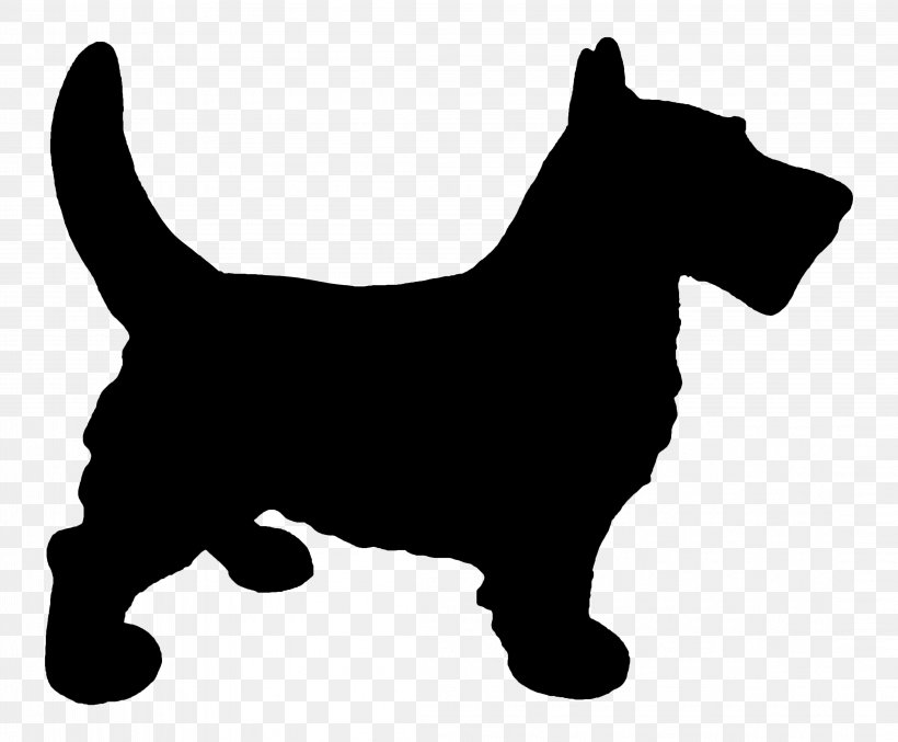 Scottish Terrier Cairn Terrier Puppy West Highland White Terrier Dog Breed, PNG, 4398x3633px, Scottish Terrier, Australian Terrier, Breed, Cairn Terrier, Canidae Download Free