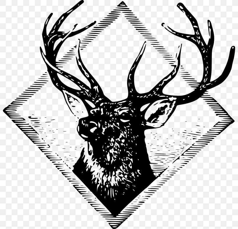 White-tailed Deer T-shirt Red Deer Clip Art, PNG, 800x788px, Deer, Antler, Bachelor Party, Black And White, Drawing Download Free