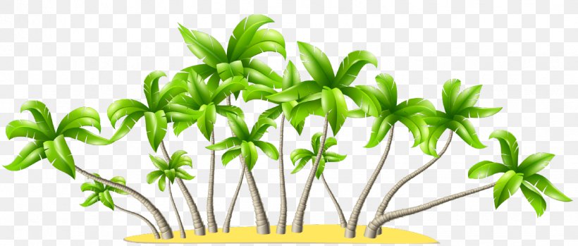 Arecaceae Clip Art, PNG, 1439x613px, Arecaceae, Document, Flower, Flowering Plant, Grass Download Free