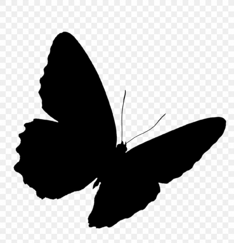 Brush-footed Butterflies Swallowtail Butterfly Old World Swallowtail Insect, PNG, 1058x1100px, Brushfooted Butterflies, Black, Blackandwhite, Butterfly, Drawing Download Free