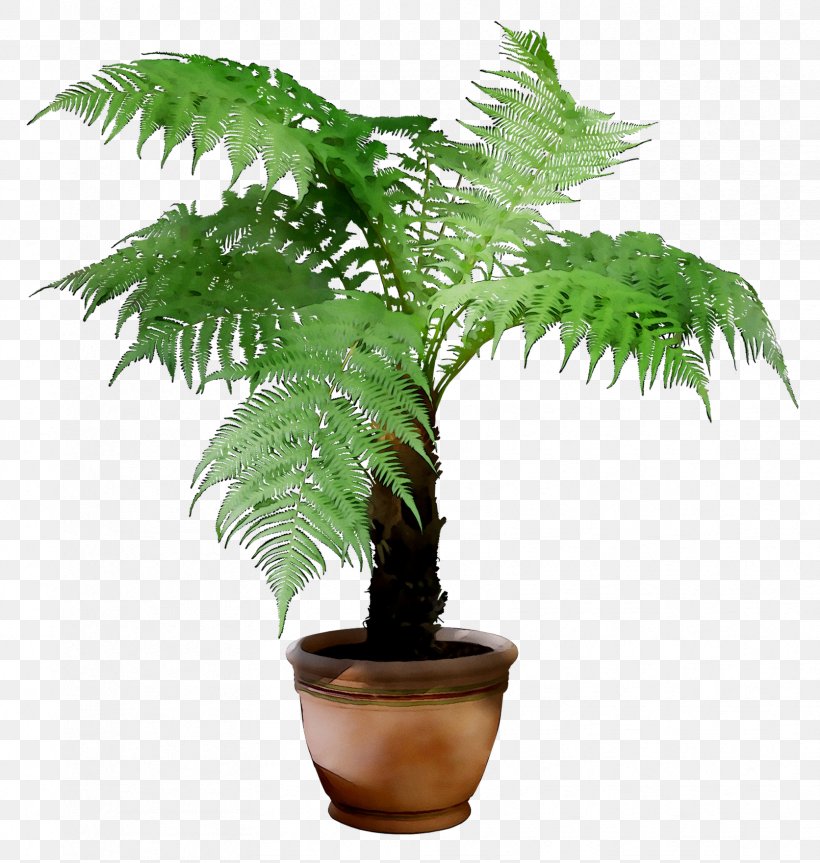 Music Plant Pot Smart Flowerpot Worth Garden Plastic, PNG, 1672x1760px, Flowerpot, Arecales, Cast Iron, Caster, Fern Download Free