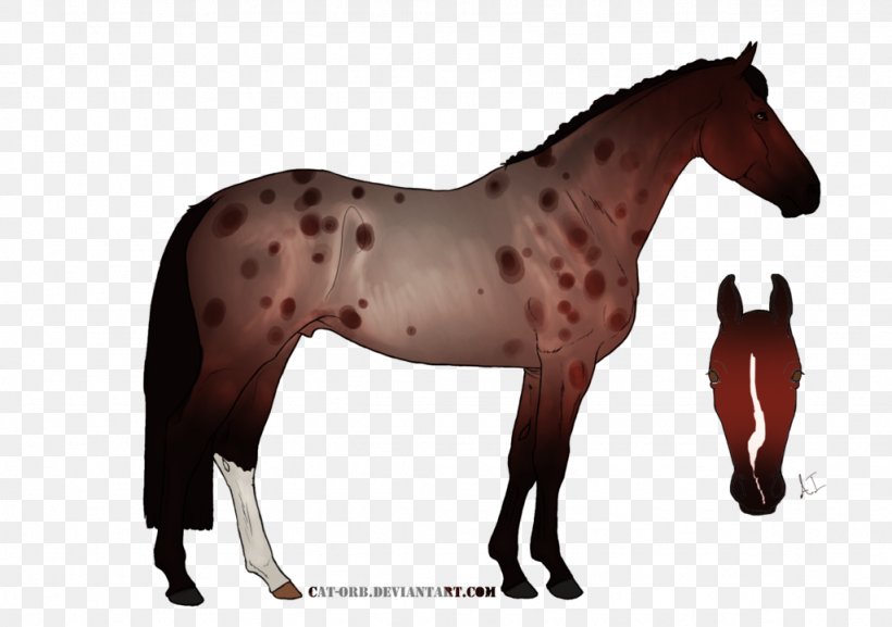 Mustang Stallion Mare Halter Mane, PNG, 1024x721px, Mustang, Animal Figure, Bridle, Colt, Halter Download Free