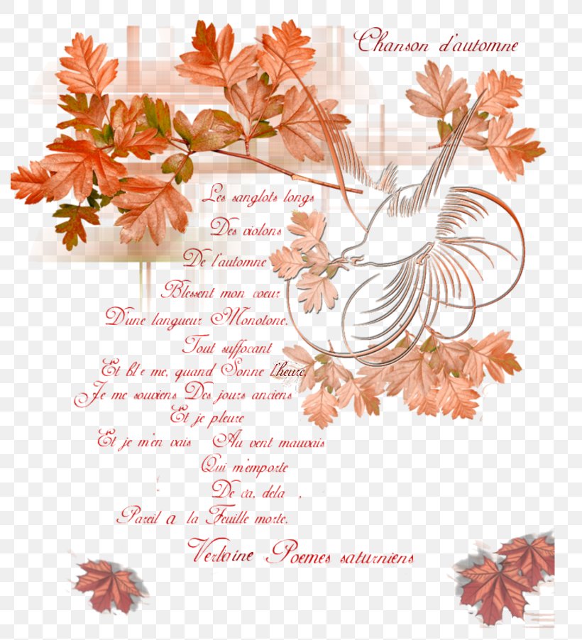 Chanson D'automne Mons 2015 Autumn Poet, PNG, 789x902px, Chanson Dautomne, Addition, Autumn, Cut Flowers, Division Download Free