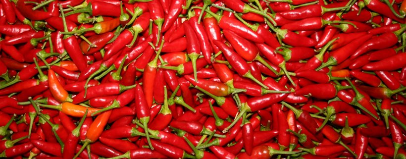 Kashmiri Cuisine Chili Pepper Capsicum Spice Agriculture, PNG, 1887x739px, Kashmiri Cuisine, Agriculture, Bell Pepper, Bell Peppers And Chili Peppers, Bhut Jolokia Download Free