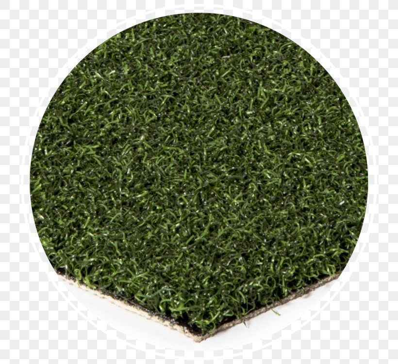 Artificial Turf Lawn Golf Course Turf Sod Green, PNG, 750x750px, Artificial Turf, Aonori, Bermuda, Canada, Color Download Free