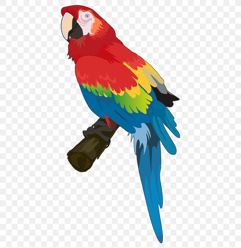 Budgerigar Hotel Parrots Bird, PNG, 595x842px, Budgerigar, Beak, Bird, Common Pet Parakeet, Description Download Free