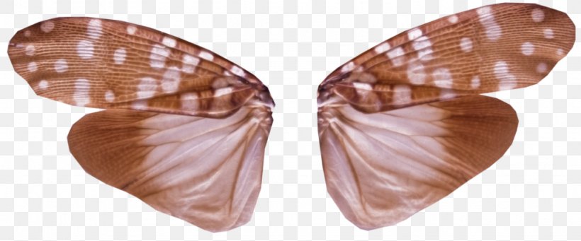 Butterfly Insect Wing, PNG, 1024x427px, Butterfly, Alpha Compositing, Arthropod Cuticle, Body Jewelry, Dragonfly Download Free