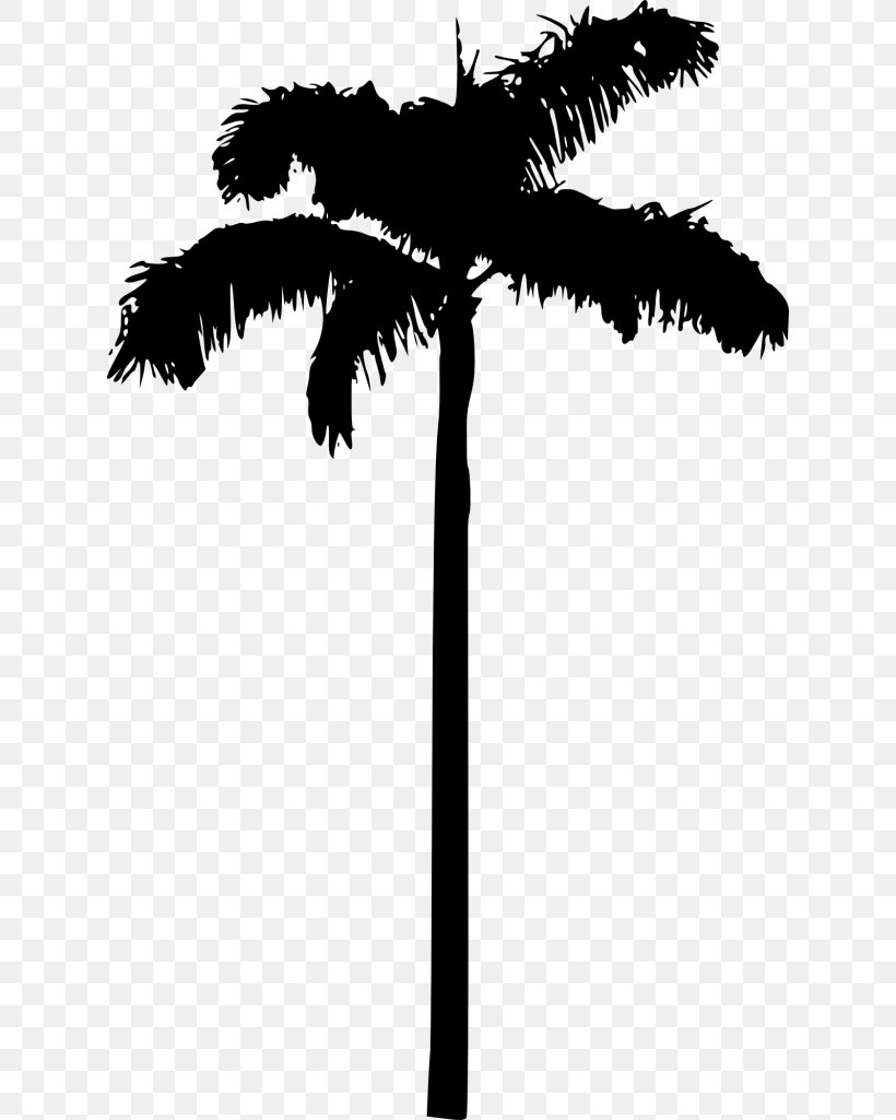 Clip Art Palm Trees Transparency Silhouette, PNG, 624x1025px, Palm Trees, Arecales, Blackandwhite, Borassus Flabellifer, Drawing Download Free