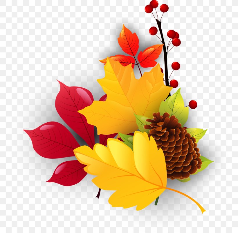 Download Leaf Clip Art, PNG, 757x800px, Leaf, Cut Flowers, Floral Design, Flower, Flowering Plant Download Free