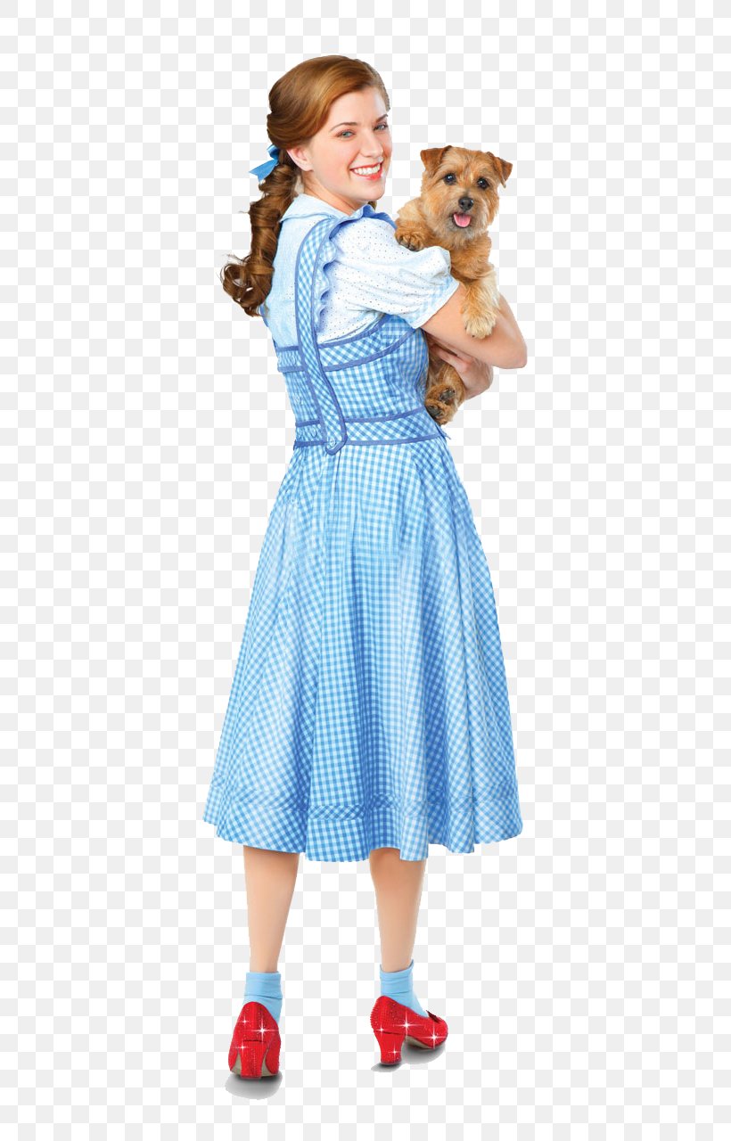 The Wizard Of Oz Dorothy Gale Canadian Broadcasting Corporation Lasalle Over The Rainbow Png 481x1280px Watercolor