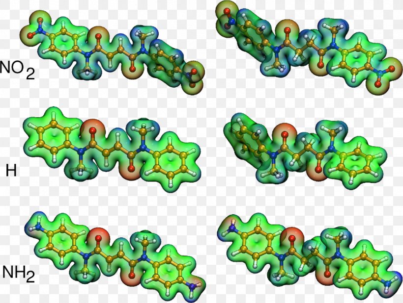 Bead Clip Art Organism Line Body Jewellery, PNG, 1138x858px, Bead, Art, Body Jewellery, Body Jewelry, Jewellery Download Free