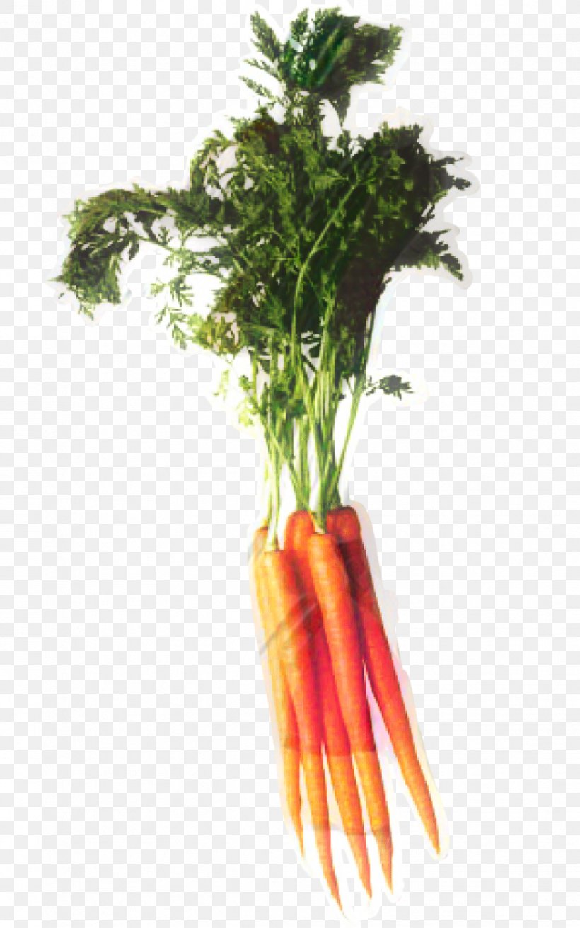 Cartoon Baby, PNG, 887x1419px, Carrot, Arracacia Xanthorrhiza, Baby Carrot, Flower, Food Download Free