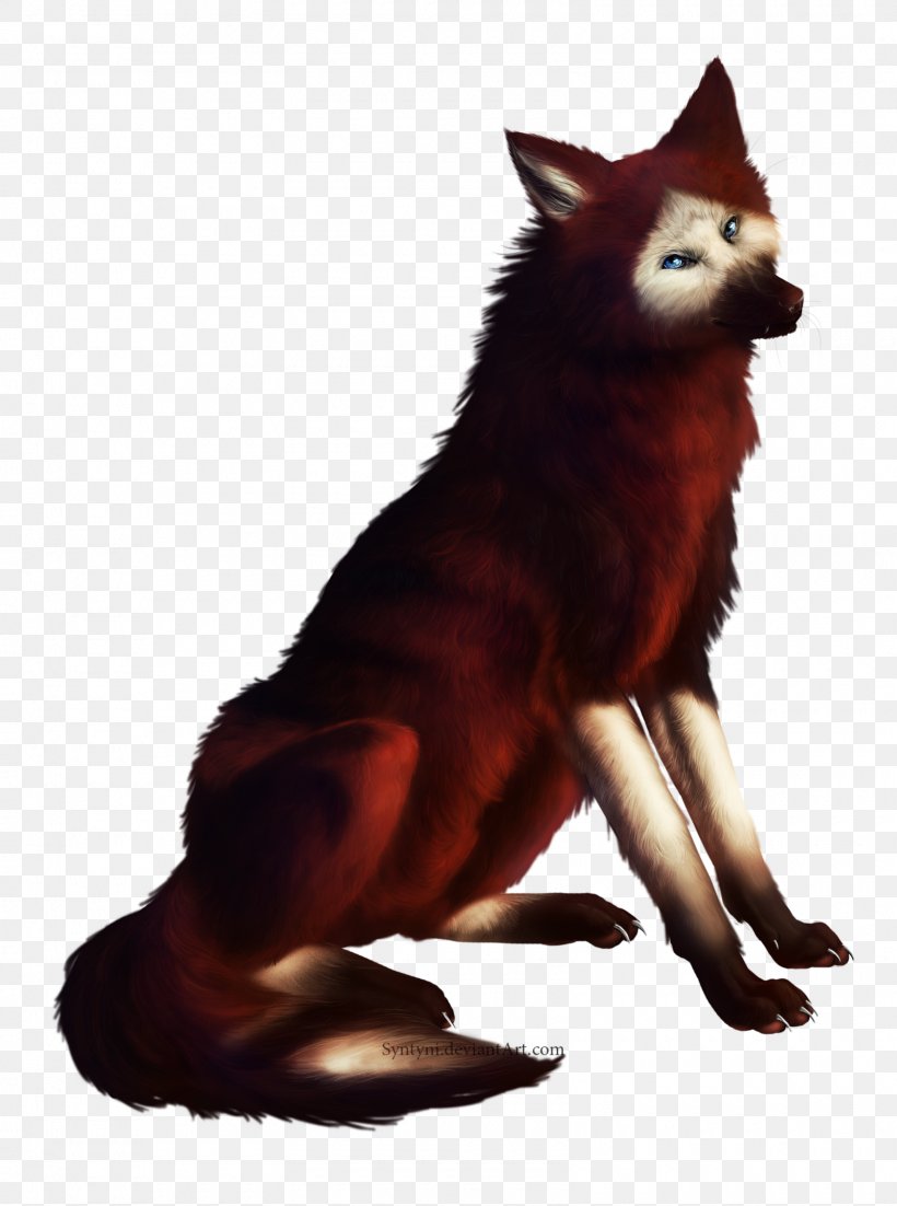 Red Fox Dog Breed Dhole Syntyni, PNG, 1600x2151px, Red Fox, Carnivoran, Dhole, Dog, Dog Breed Download Free